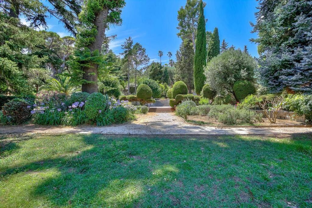 Les Grands Cedres 2 Pieces Vue Appartamento Nizza
